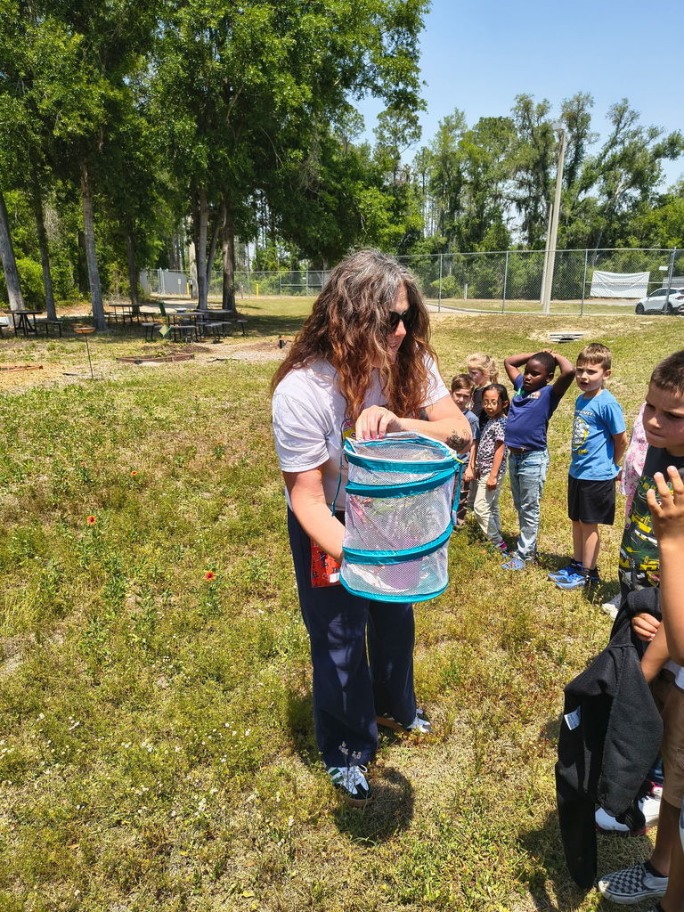 1st grade releasing butterflies