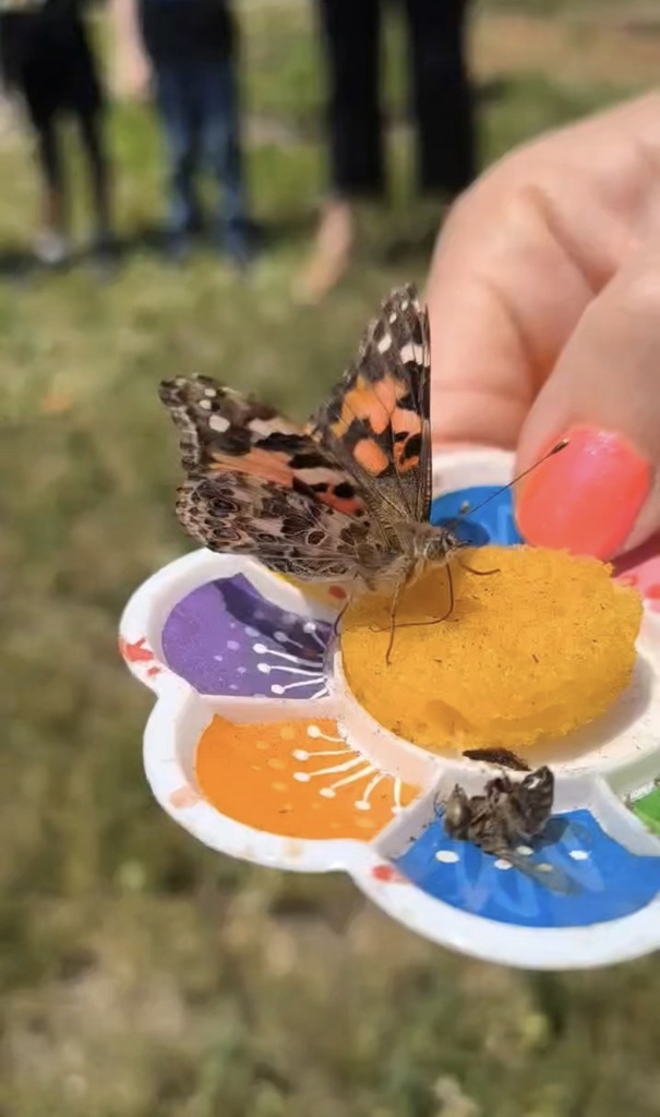1st grade releasing butterflies