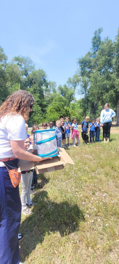 1st grade releasing butterflies