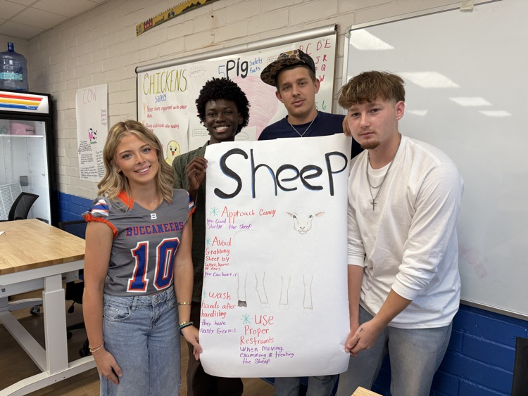 Animal science students created animal safety posters. 