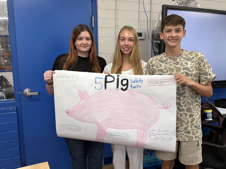 Animal science students created animal safety posters. 