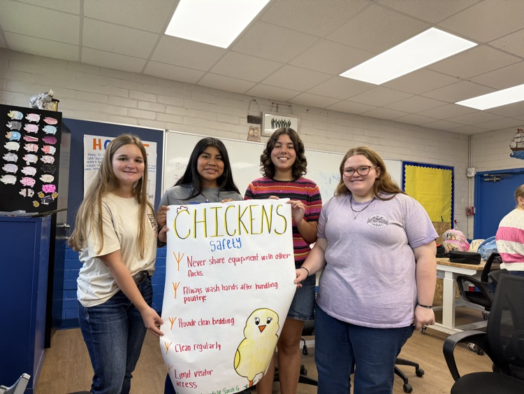 Animal science students created animal safety posters. 