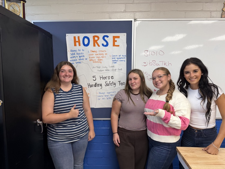 Animal science students created animal safety posters. 