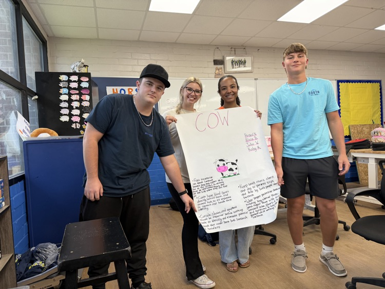 Animal science students created animal safety posters. 
