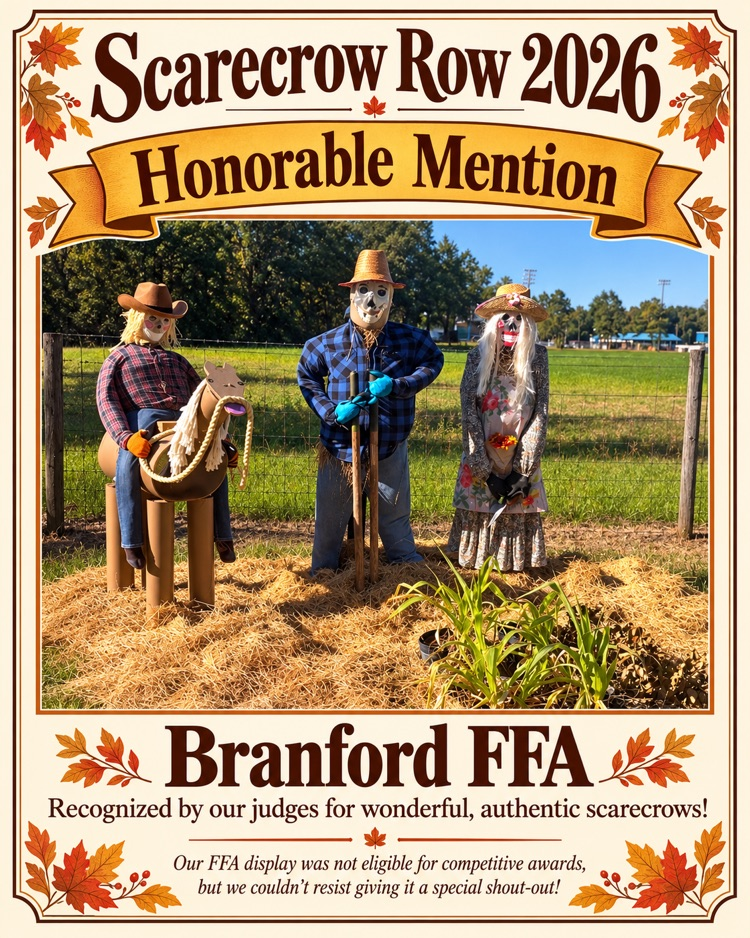 honorable mention 
