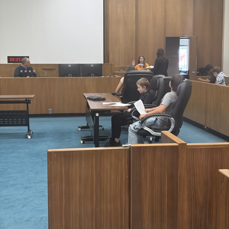 jury
