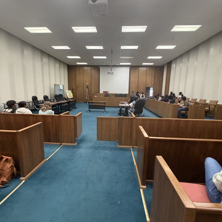 jury