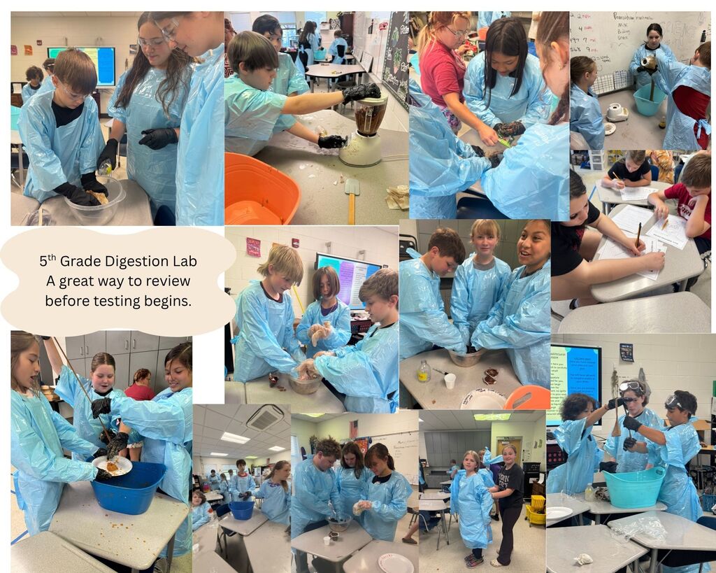 digestion lab