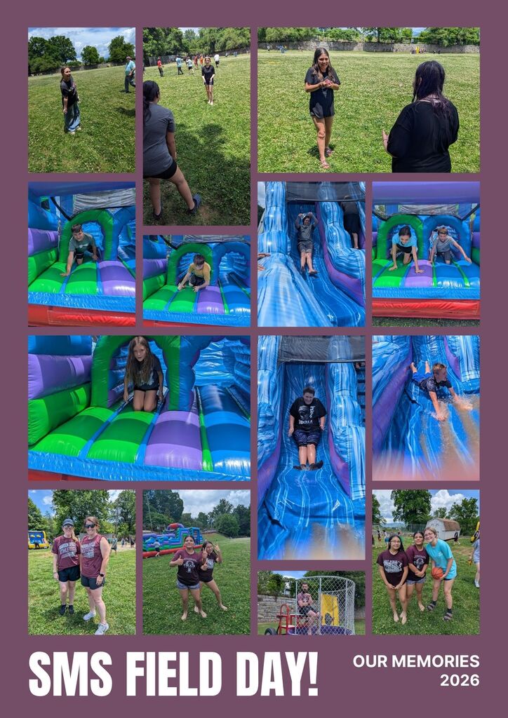 SMS Field Day