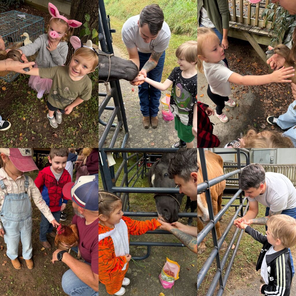 farm day