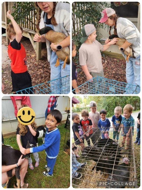 farm day