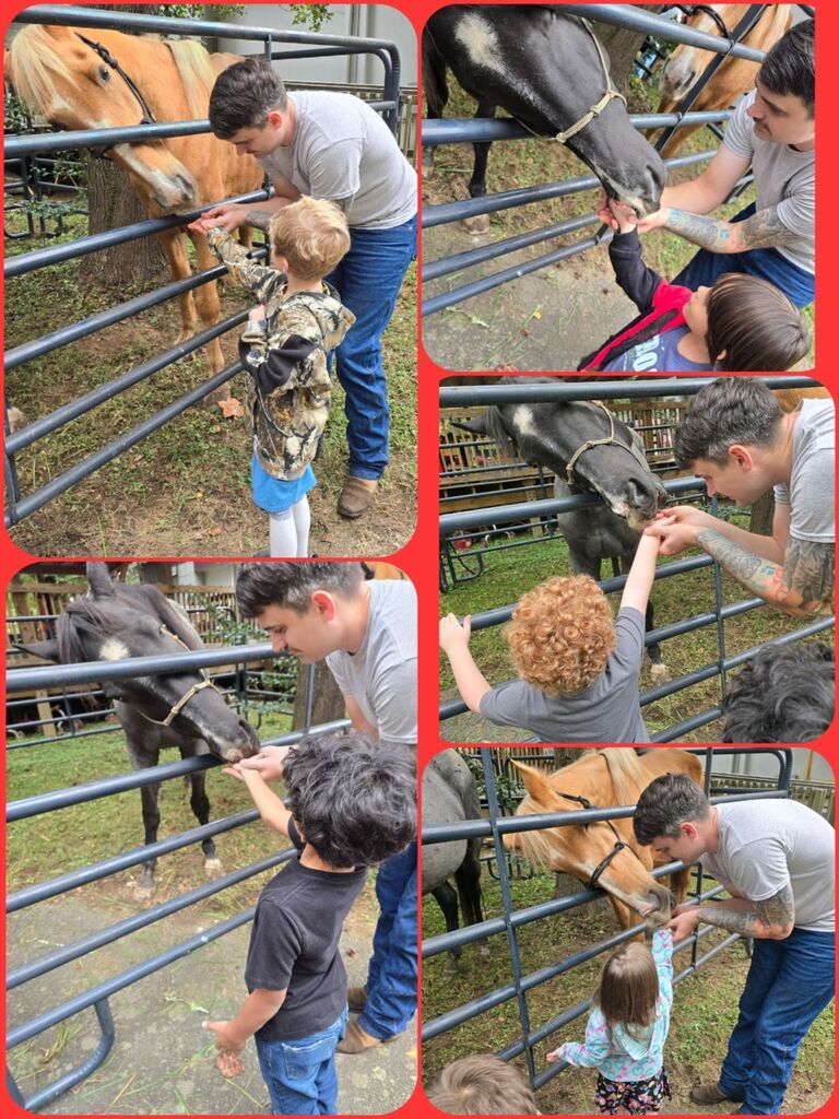 horses