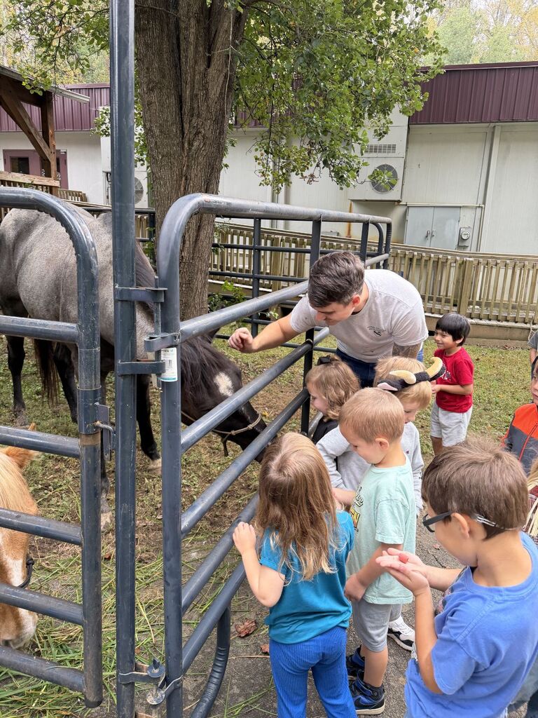 Bob and Millie, the horses