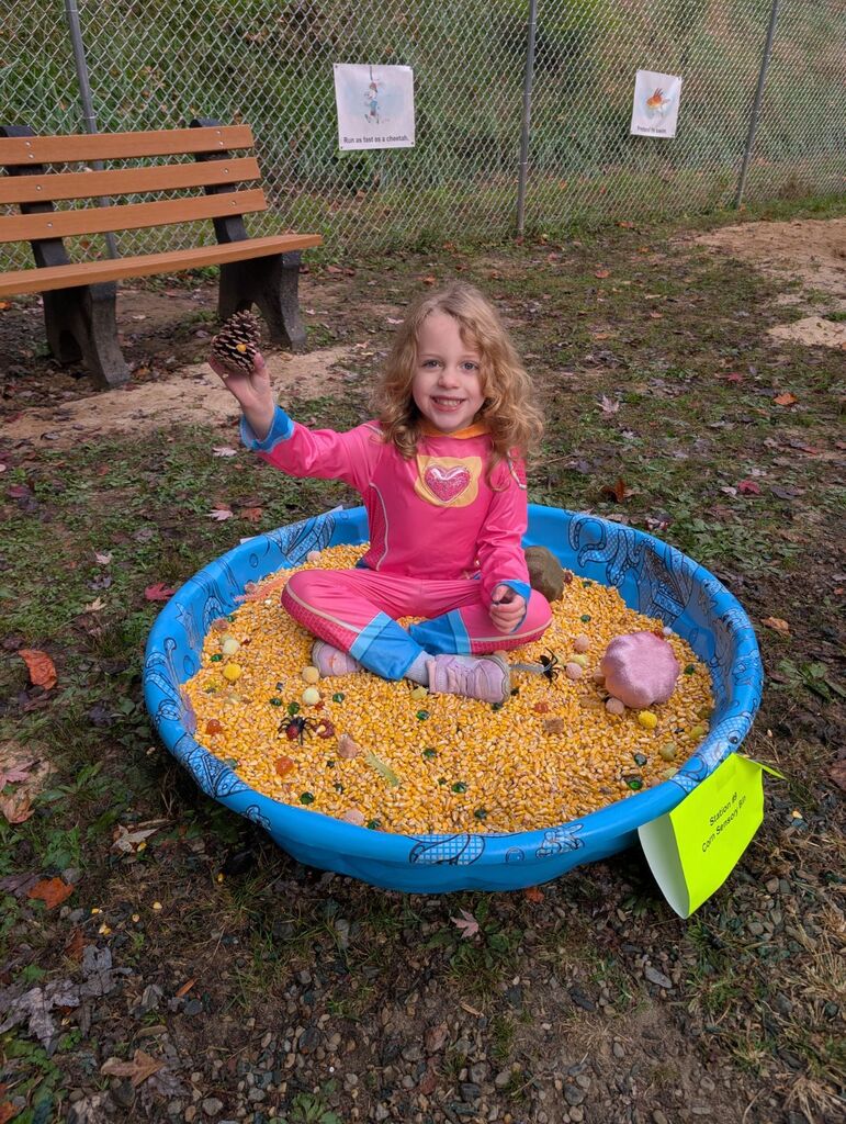 Corn Bin