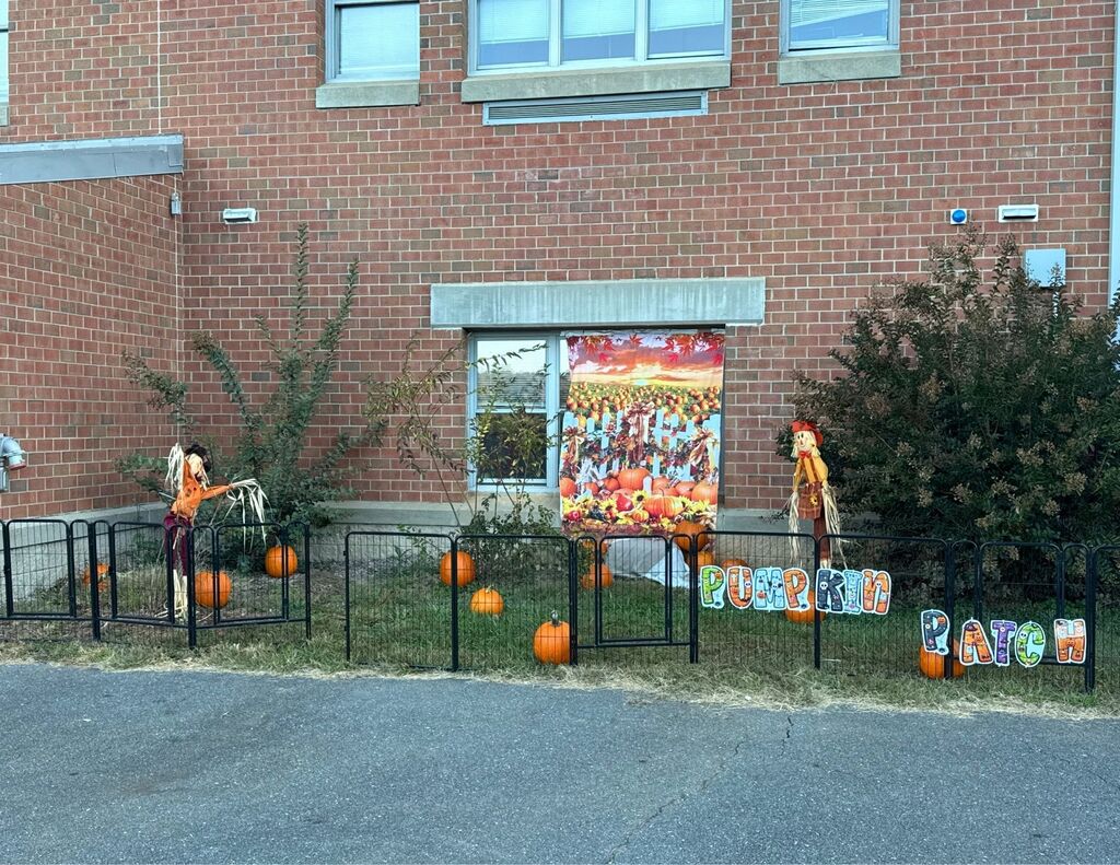 Pumpkin Patch
