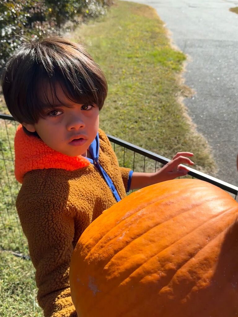 Pumpkin Patch