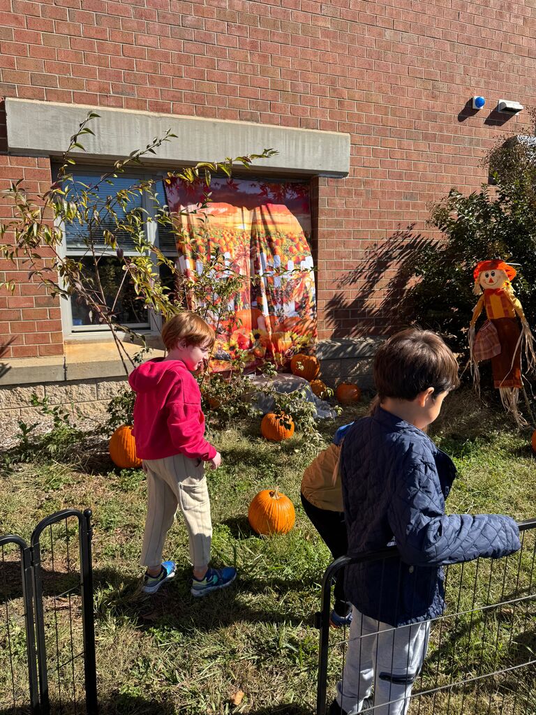 Pumpkin Patch