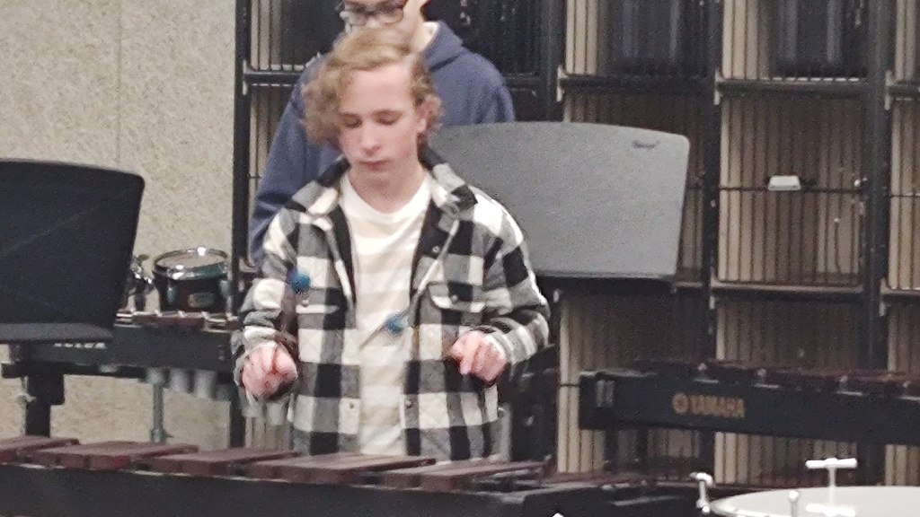 marimba player
