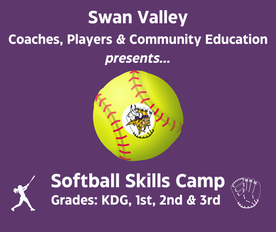 Softball Skills Camp