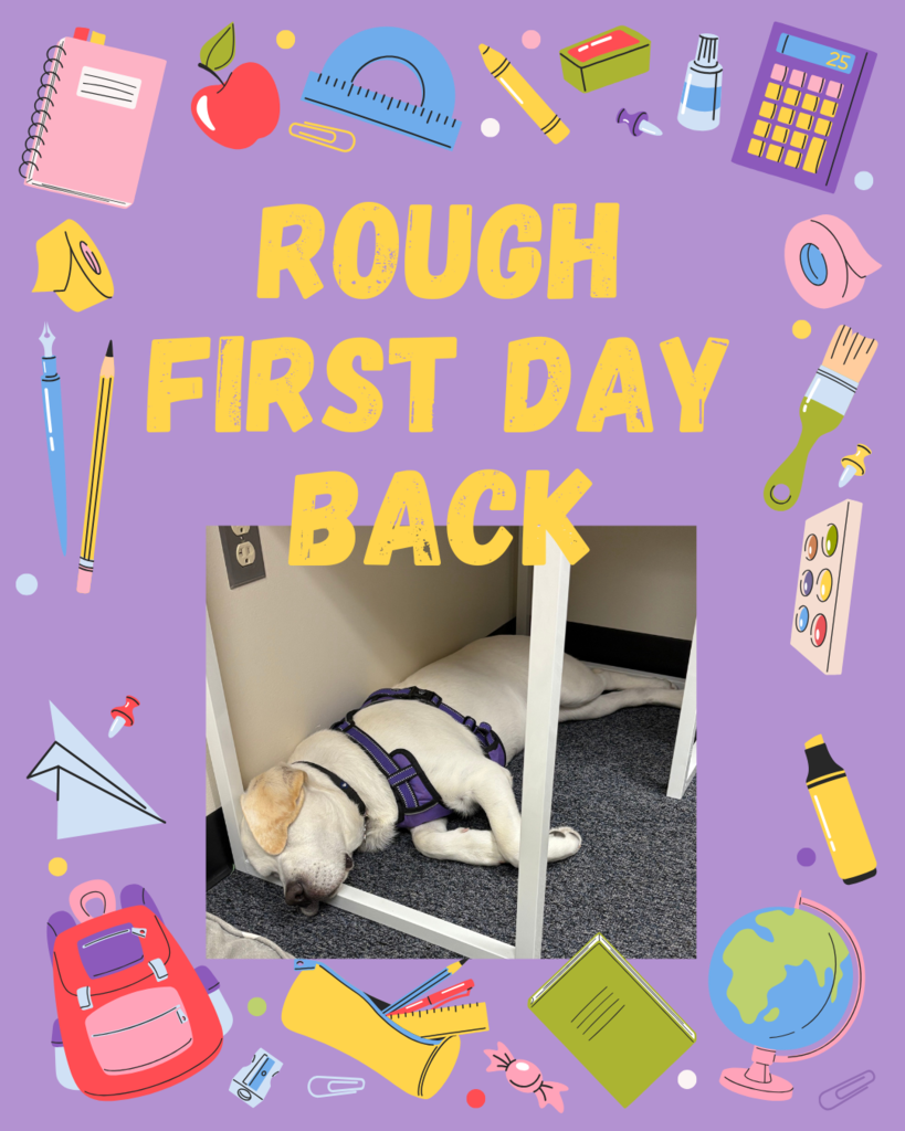 Riggs is all tired out!