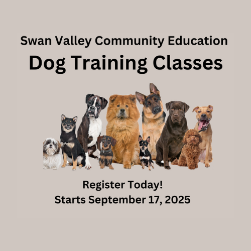 Dog training classes