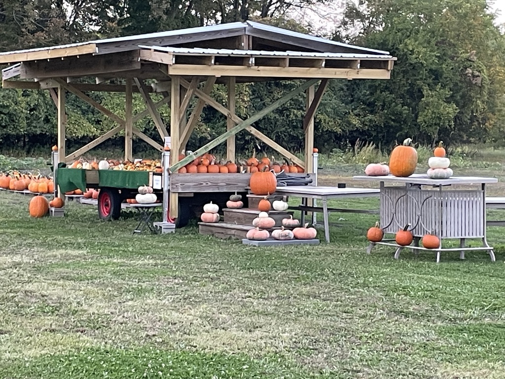 Pumpkin Stand