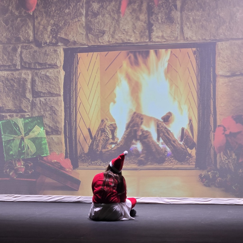 Ali the Elf Introducation