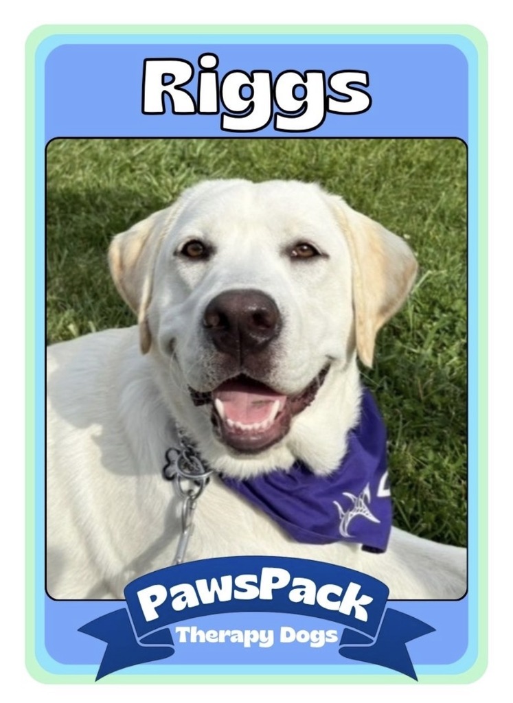 Riggs earned his Therapy Dog certification during Spring Break. He’s now a member of the PawsPack Therapy Dog team!