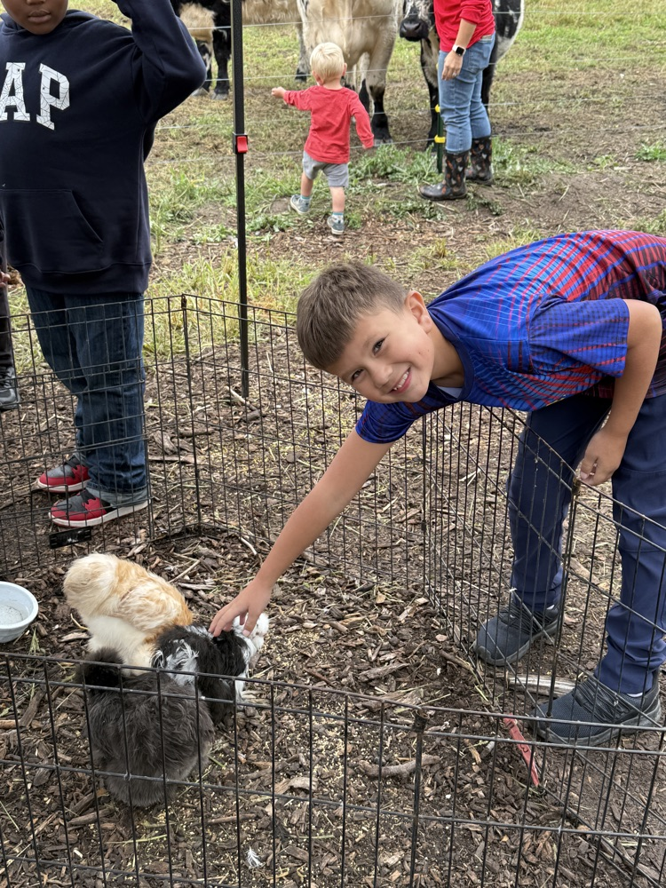 One fourth grade student pets the chickens at Schomaker Farms