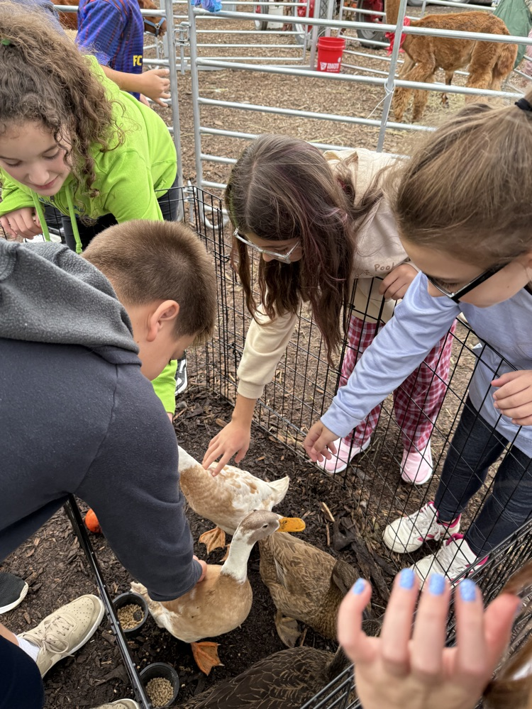 Havens student petting ducks at Schomaker Farms