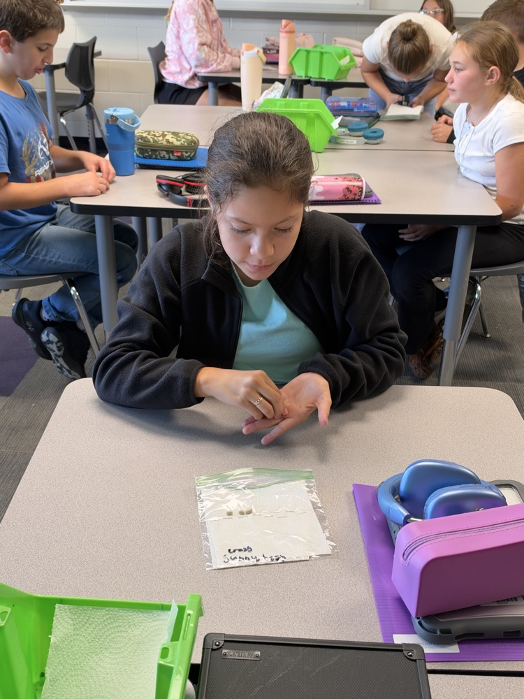 One fifth grade student picking seeds to place in the bag for a science experiment.