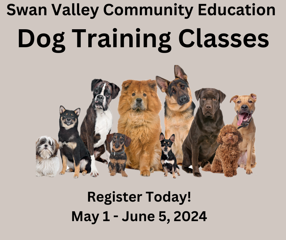 Dog Training Registration