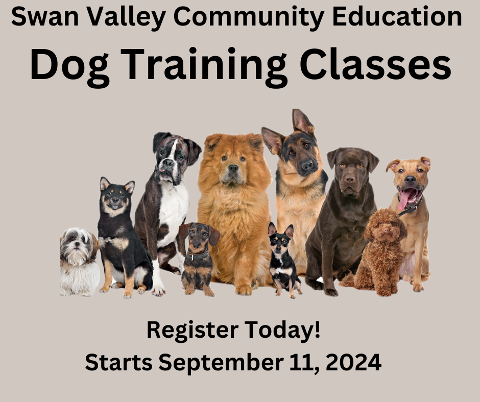 Dog Training Class
