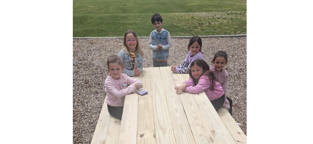 picnic table build by Case Design & Build