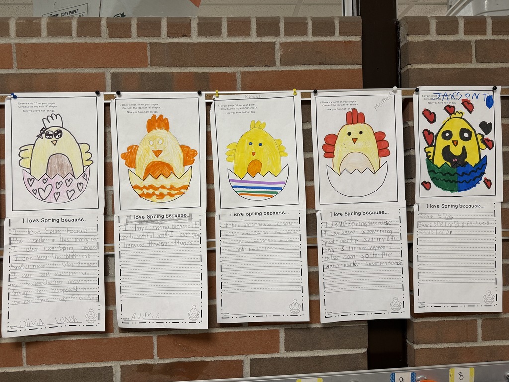 Baby Chicks