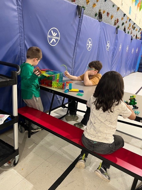 Syring Before and Aftercare Program