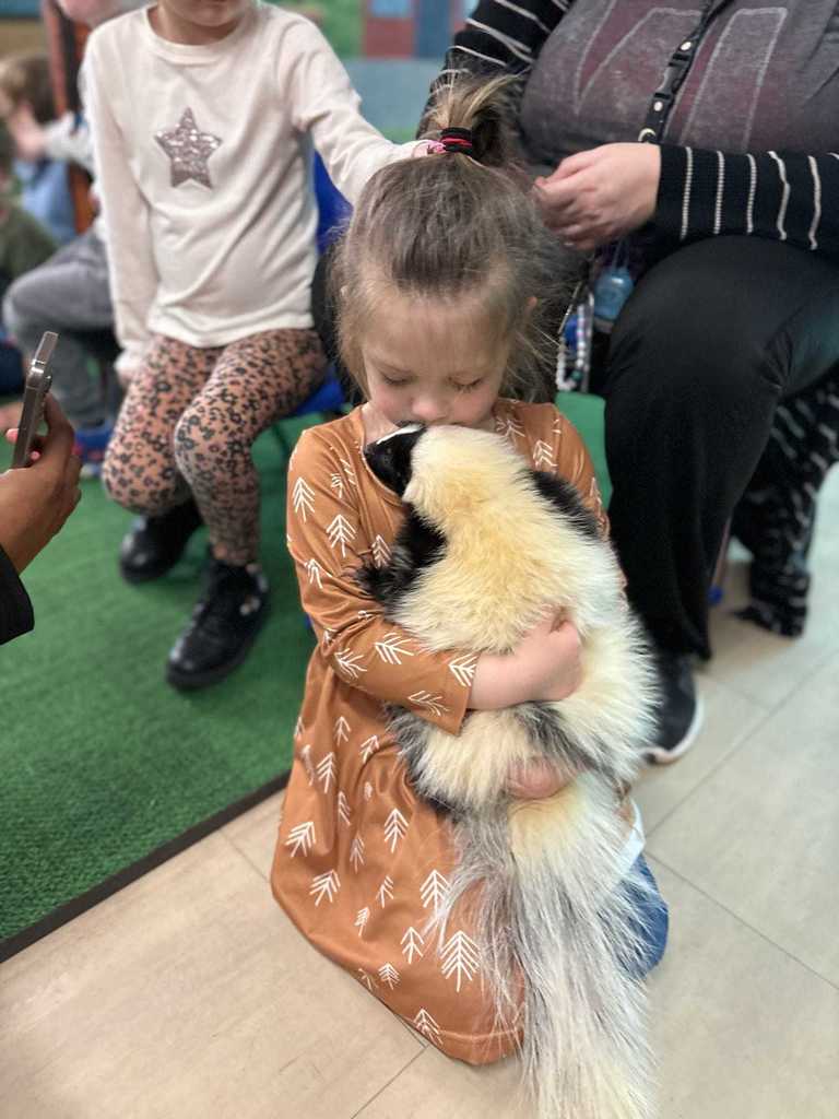 Holding a soft and not smelly skunk