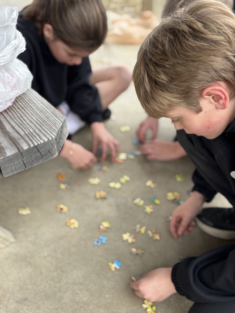 Solving their puzzle