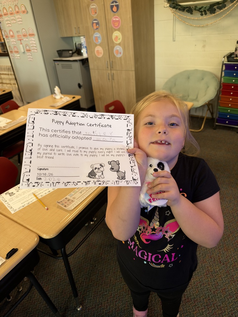 2nd grade
