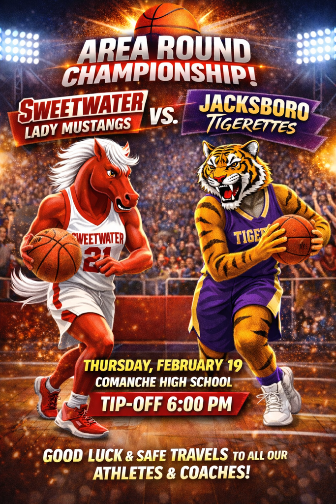 Lady Mustangs Area Round Playoff vs Jacksboro