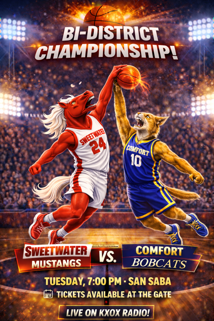 mustangs vs comfort for bi-district championship