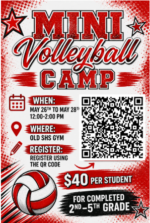 mini mustang volleyball camp