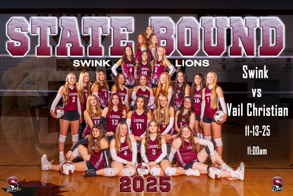 State Volleyball Sendoff