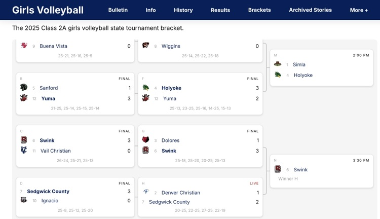 Swink continues in state Volleyball