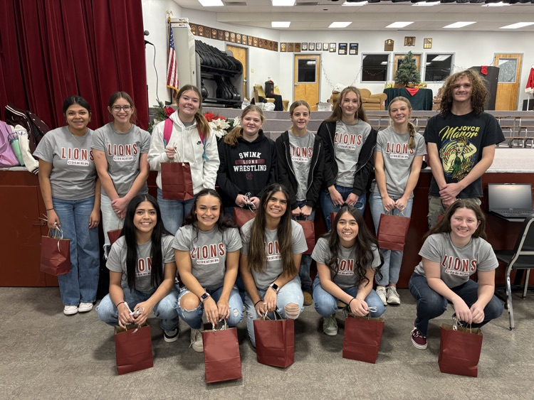 state cheerleading team