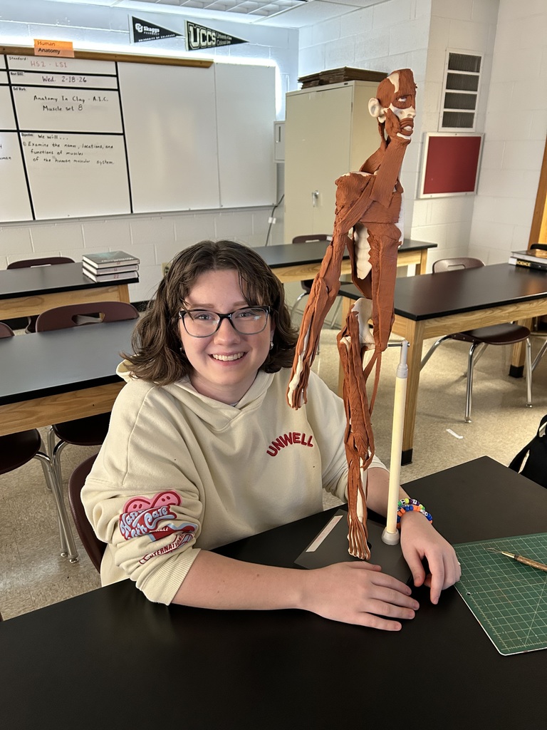 Anatomy Clay Muscles