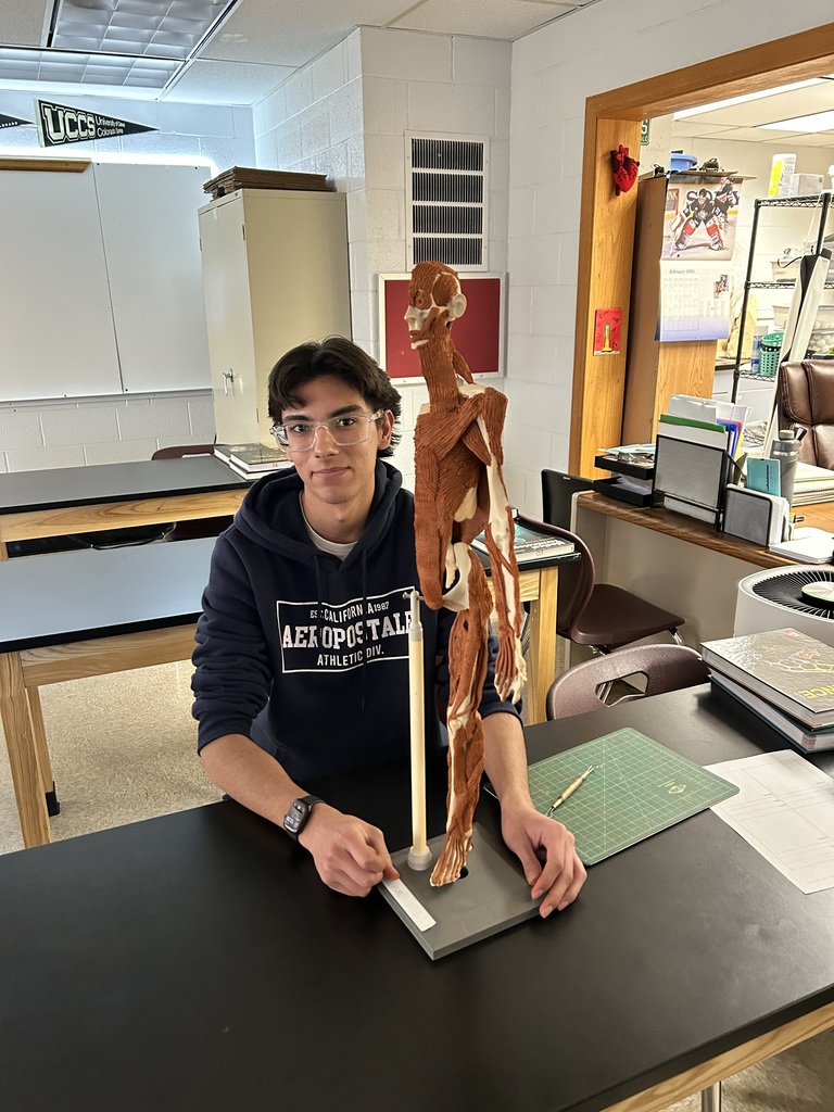 Anatomy Clay Muscles