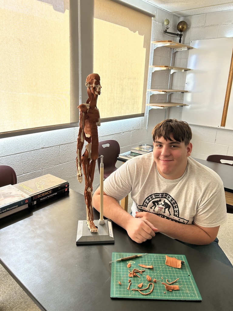 Anatomy Clay Muscles