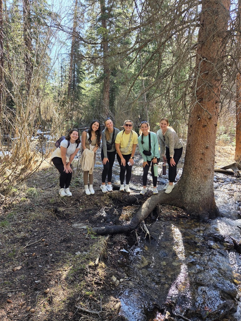 Hike on Sawmill Trail