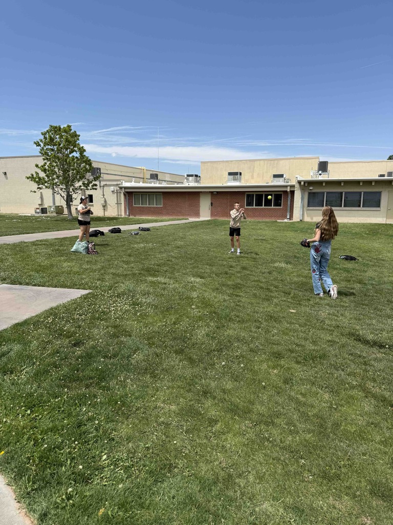 Secondary Park Day